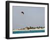 Kite Surfing at Santa Maria on the Island of Sal (Salt), Cape Verde Islands, Africa-R H Productions-Framed Photographic Print