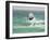 Kite Surfing at Santa Maria on the Island of Sal (Salt), Cape Verde Islands, Atlantic Ocean, Africa-Robert Harding-Framed Photographic Print