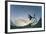 Kite Surfing on Red Sea Coast of Egypt, North Africa, Africa-Louise-Framed Photographic Print