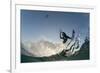 Kite Surfing on Red Sea Coast of Egypt, North Africa, Africa-Louise-Framed Photographic Print