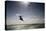 Kite Surfing on Red Sea Coast of Egypt, North Africa, Africa-Louise-Stretched Canvas