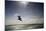Kite Surfing on Red Sea Coast of Egypt, North Africa, Africa-Louise-Mounted Photographic Print