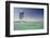 Kite Surfing on Red Sea Coast of Egypt, North Africa, Africa-Louise-Framed Photographic Print