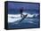 Kite Surfing-null-Framed Stretched Canvas