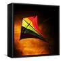 Kite-Mark James Gaylard-Framed Stretched Canvas