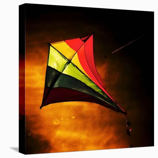Kite-Mark James Gaylard-Stretched Canvas