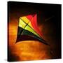 Kite-Mark James Gaylard-Stretched Canvas