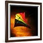 Kite-Mark James Gaylard-Framed Photographic Print