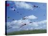 Kites Flying Along the Coastline, International Kite Festival, Long Beach, Washington, USA-Merrill Images-Stretched Canvas