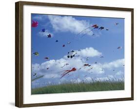 Kites Flying Along the Coastline, International Kite Festival, Long Beach, Washington, USA-Merrill Images-Framed Photographic Print