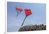 Kites Flying by the Beijing National Stadium-null-Framed Photographic Print