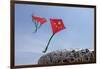 Kites Flying by the Beijing National Stadium-null-Framed Photographic Print