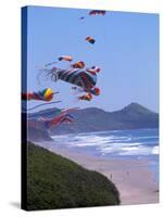 Kites Flying on the Oregon Coast, USA-Janis Miglavs-Stretched Canvas