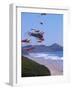 Kites Flying on the Oregon Coast, USA-Janis Miglavs-Framed Photographic Print