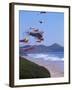 Kites Flying on the Oregon Coast, USA-Janis Miglavs-Framed Photographic Print