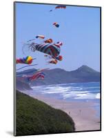 Kites Flying on the Oregon Coast, USA-Janis Miglavs-Mounted Photographic Print