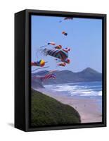 Kites Flying on the Oregon Coast, USA-Janis Miglavs-Framed Stretched Canvas