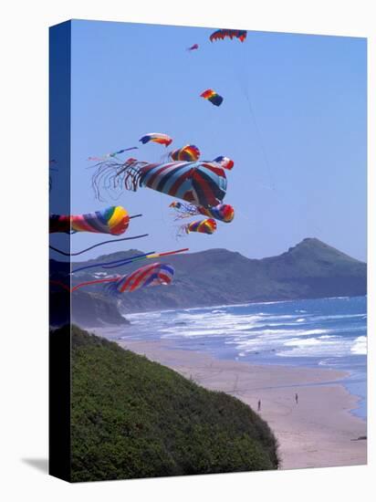 Kites Flying on the Oregon Coast, USA-Janis Miglavs-Stretched Canvas