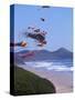 Kites Flying on the Oregon Coast, USA-Janis Miglavs-Stretched Canvas