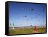 Kites, International Kite Festival, Long Beach, Washington, USA-Jamie & Judy Wild-Framed Stretched Canvas