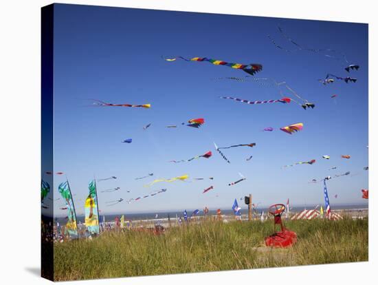 Kites, International Kite Festival, Long Beach, Washington, USA-Jamie & Judy Wild-Stretched Canvas