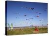 Kites, International Kite Festival, Long Beach, Washington, USA-Jamie & Judy Wild-Stretched Canvas