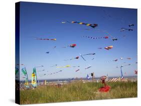 Kites, International Kite Festival, Long Beach, Washington, USA-Jamie & Judy Wild-Stretched Canvas