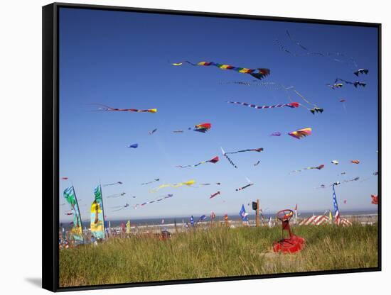 Kites, International Kite Festival, Long Beach, Washington, USA-Jamie & Judy Wild-Framed Stretched Canvas