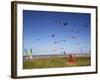 Kites, International Kite Festival, Long Beach, Washington, USA-Jamie & Judy Wild-Framed Premium Photographic Print
