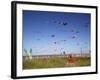 Kites, International Kite Festival, Long Beach, Washington, USA-Jamie & Judy Wild-Framed Premium Photographic Print