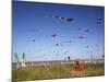 Kites, International Kite Festival, Long Beach, Washington, USA-Jamie & Judy Wild-Mounted Premium Photographic Print