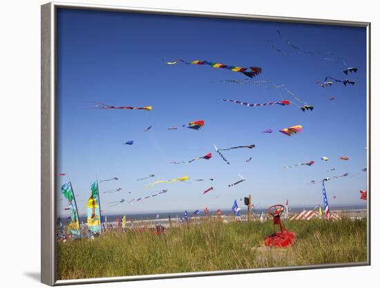 Kites, International Kite Festival, Long Beach, Washington, USA-Jamie & Judy Wild-Framed Photographic Print