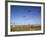 Kites, International Kite Festival, Long Beach, Washington, USA-Jamie & Judy Wild-Framed Photographic Print