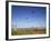 Kites, International Kite Festival, Long Beach, Washington, USA-Jamie & Judy Wild-Framed Photographic Print