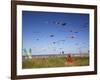 Kites, International Kite Festival, Long Beach, Washington, USA-Jamie & Judy Wild-Framed Photographic Print