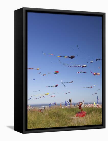 Kites, International Kite Festival, Long Beach, Washington, USA-Jamie & Judy Wild-Framed Stretched Canvas