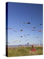 Kites, International Kite Festival, Long Beach, Washington, USA-Jamie & Judy Wild-Stretched Canvas