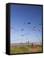 Kites, International Kite Festival, Long Beach, Washington, USA-Jamie & Judy Wild-Framed Stretched Canvas