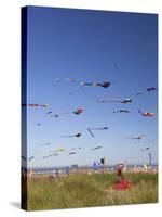 Kites, International Kite Festival, Long Beach, Washington, USA-Jamie & Judy Wild-Stretched Canvas