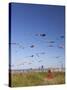 Kites, International Kite Festival, Long Beach, Washington, USA-Jamie & Judy Wild-Stretched Canvas