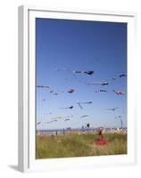 Kites, International Kite Festival, Long Beach, Washington, USA-Jamie & Judy Wild-Framed Premium Photographic Print