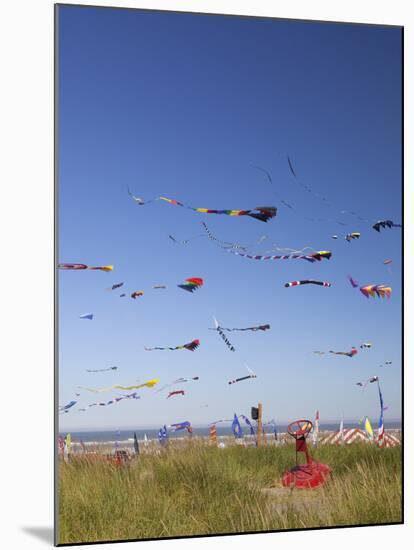 Kites, International Kite Festival, Long Beach, Washington, USA-Jamie & Judy Wild-Mounted Premium Photographic Print