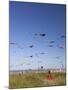 Kites, International Kite Festival, Long Beach, Washington, USA-Jamie & Judy Wild-Mounted Premium Photographic Print