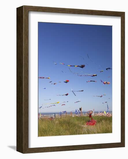 Kites, International Kite Festival, Long Beach, Washington, USA-Jamie & Judy Wild-Framed Photographic Print