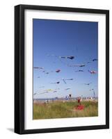 Kites, International Kite Festival, Long Beach, Washington, USA-Jamie & Judy Wild-Framed Photographic Print