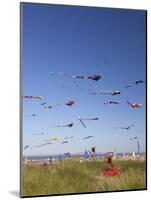 Kites, International Kite Festival, Long Beach, Washington, USA-Jamie & Judy Wild-Mounted Photographic Print