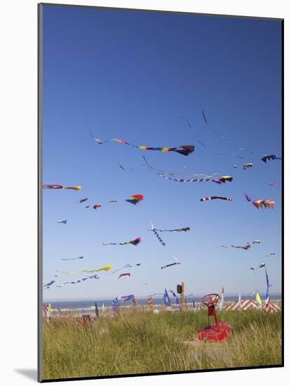 Kites, International Kite Festival, Long Beach, Washington, USA-Jamie & Judy Wild-Mounted Photographic Print