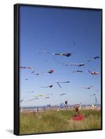 Kites, International Kite Festival, Long Beach, Washington, USA-Jamie & Judy Wild-Framed Photographic Print