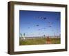 Kites, International Kite Festival, Long Beach, Washington, USA-Jamie & Judy Wild-Framed Photographic Print