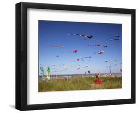 Kites, International Kite Festival, Long Beach, Washington, USA-Jamie & Judy Wild-Framed Photographic Print